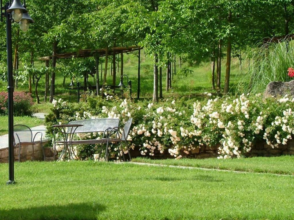 Agriturismo Podere La Casaccia ป็อปปี ภายนอก รูปภาพ